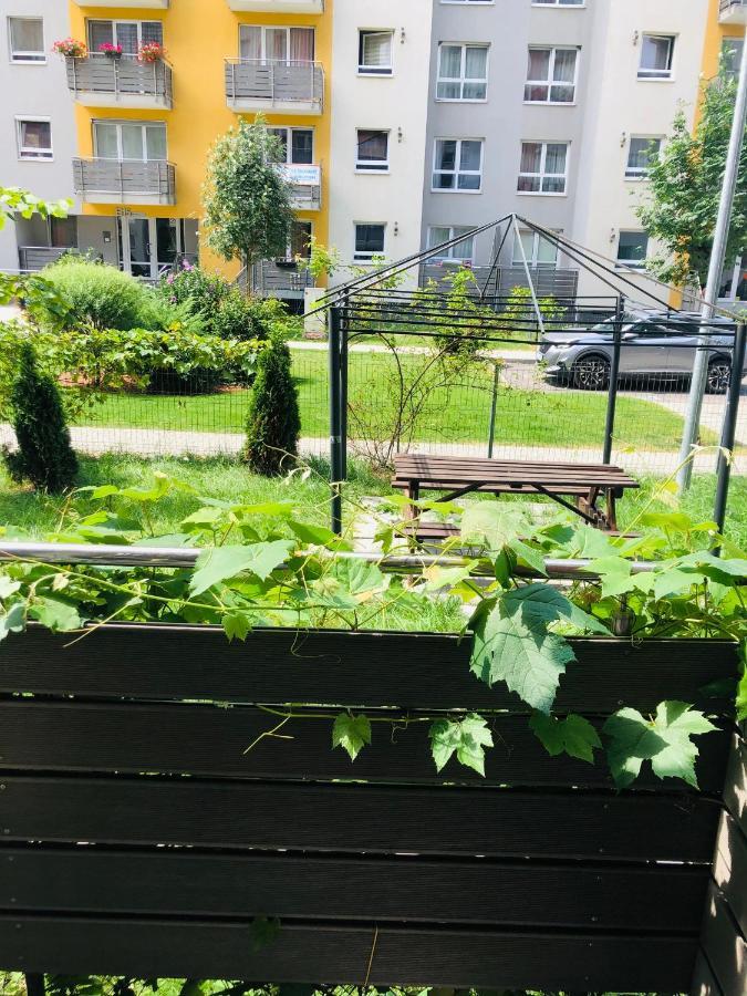 Apartmán Brasov 3C Delux Exteriér fotografie