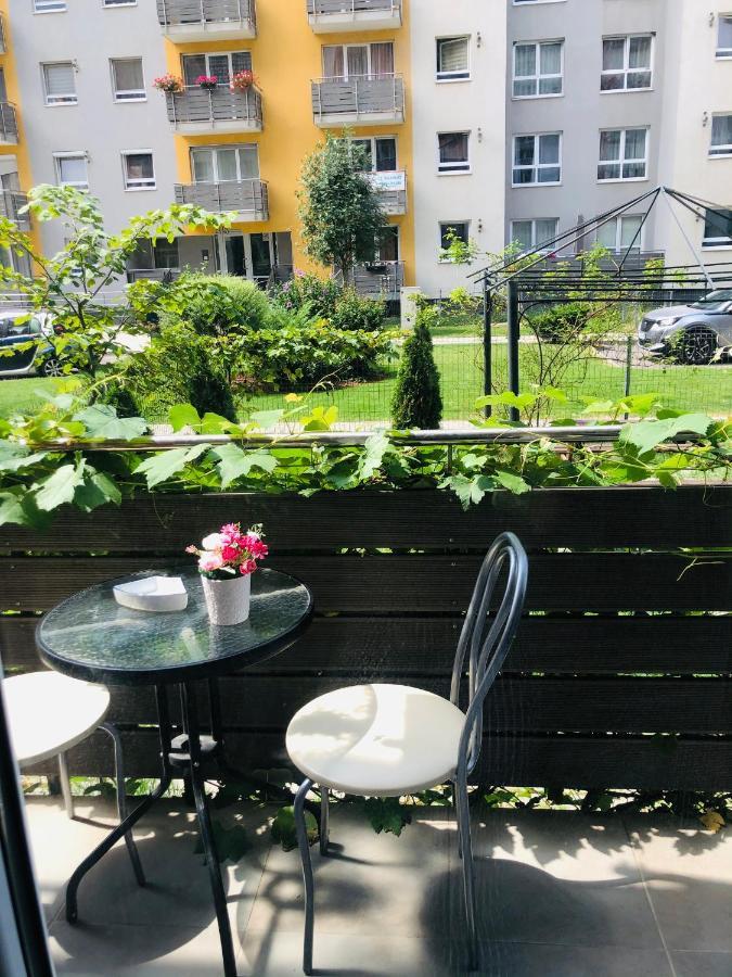 Apartmán Brasov 3C Delux Exteriér fotografie